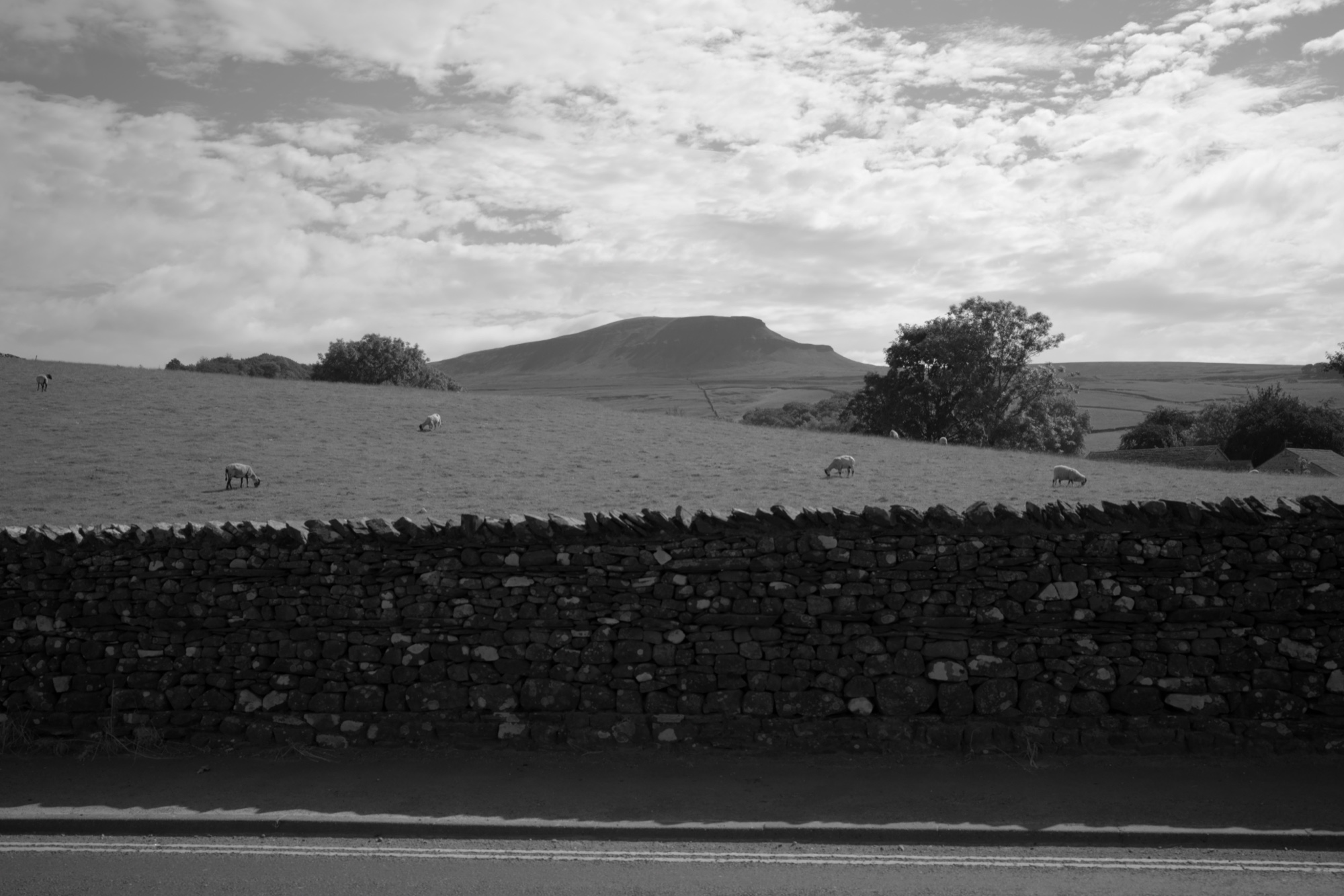 Pen-y-ghent, Yorkshire Dales