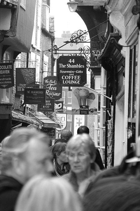 York - The Shambles